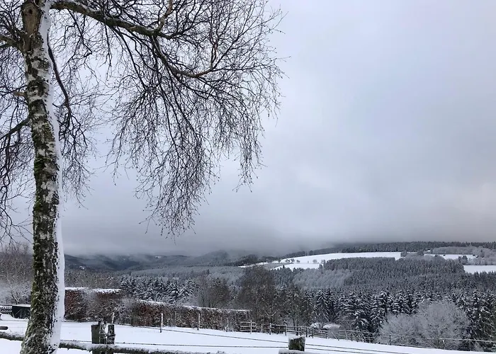 Lotta Διαμέρισμα *